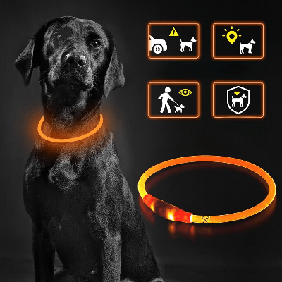 Collier Chien - DogCollarLight™ - Orange - Chien Trotteur