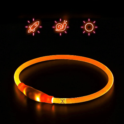 Collier Chien - DogCollarLight™ - Orange - Chien Trotteur