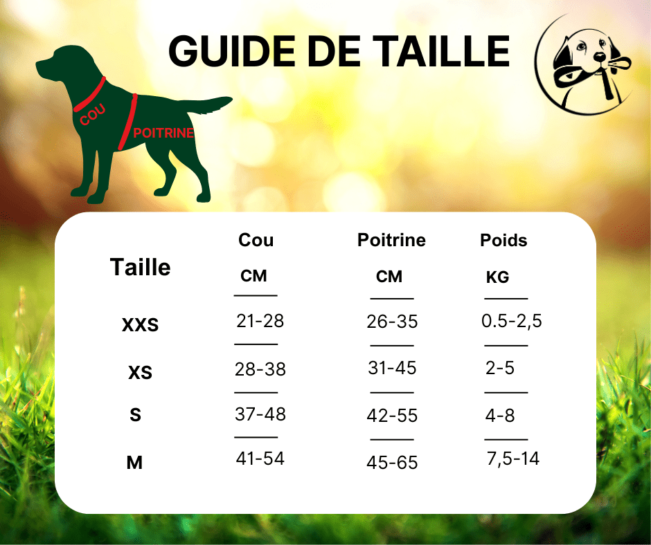 Harnais pour petit Chien | Confort Élégant - Chien Trotteur