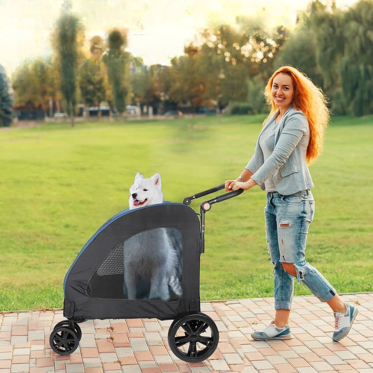 Poussette pour Chien - StrollyPet™ - Bleu - Chien Trotteur