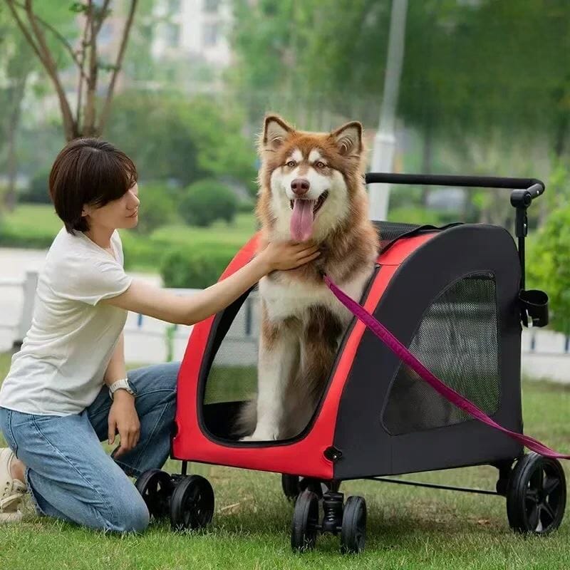 Poussette pour Chien - StrollyPet™ - Rouge - Chien Trotteur