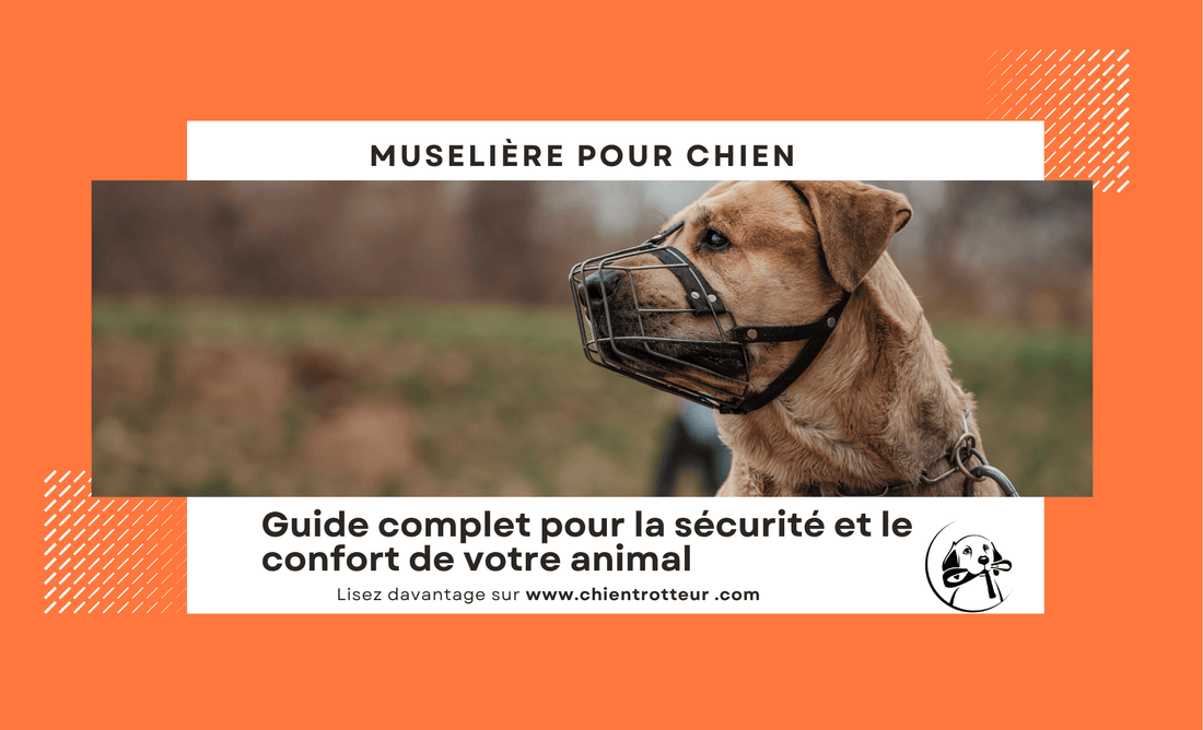 Muselière Chien: Guide Complet pour la Sécurité et le Confort - Chien Trotteur