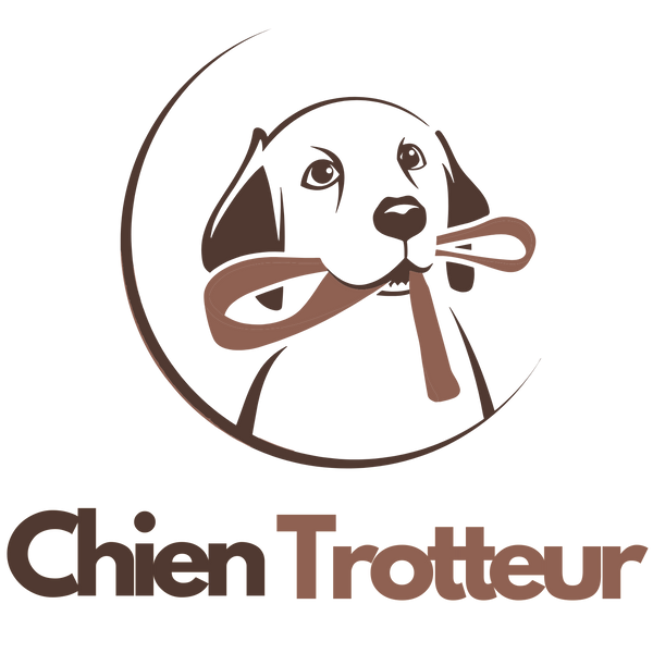 Chien Trotteur