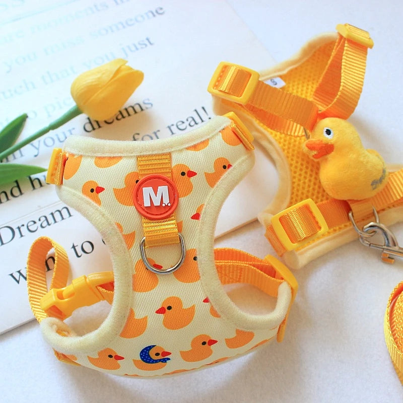 HAERNAIS CHIOT POUSSIN JAUNE