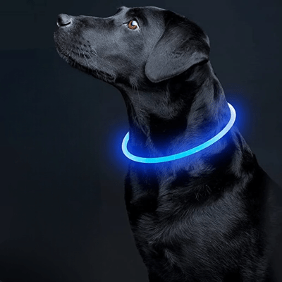 Collier Chien - DogCollarLight™ - Bleu - Chien Trotteur