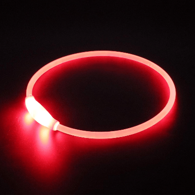 Collier Chien - DogCollarLight™ - Rouge - Chien Trotteur