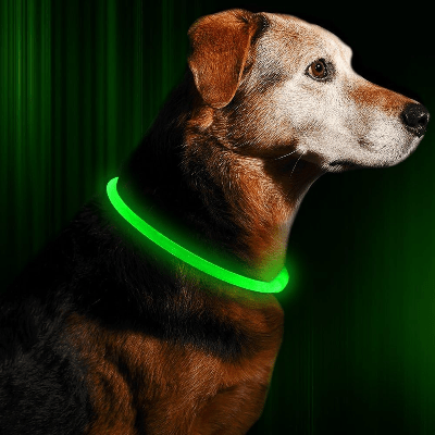 Collier Chien - DogCollarLight™ - Vert - Chien Trotteur