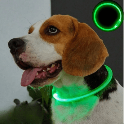 Collier Chien - DogCollarLight™ - Vert - Chien Trotteur