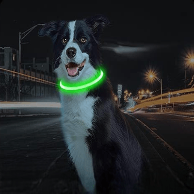 Collier Chien - DogCollarLight™ - Vert - Chien Trotteur