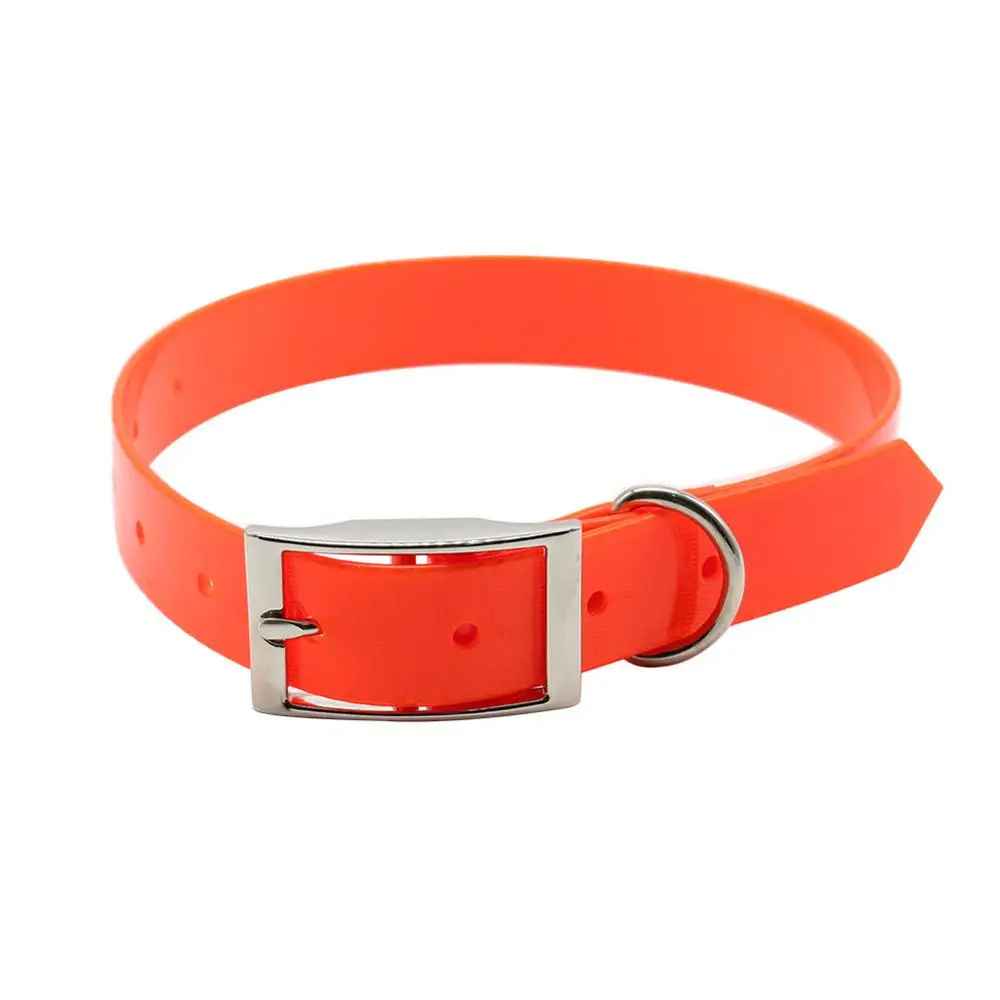 Collier chien | Durable & Tendance - Chien Trotteur