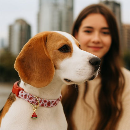 Collier chien | Robustyle - Chien Trotteur