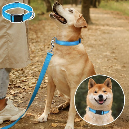 Collier pour chien | Durable & Stylé - Chien Trotteur