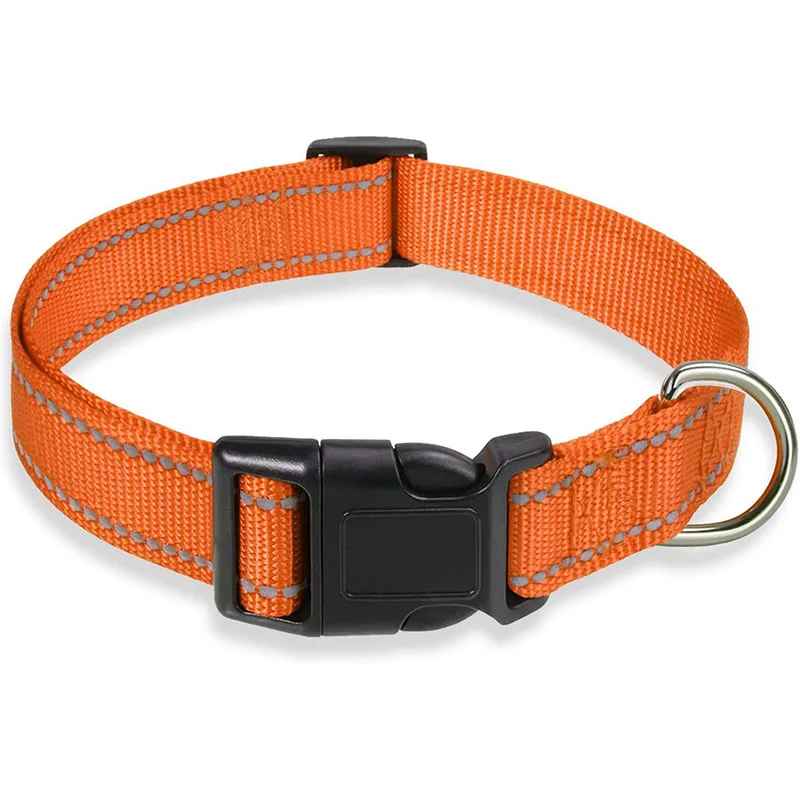 Collier pour chien | Durable & Stylé - Chien Trotteur