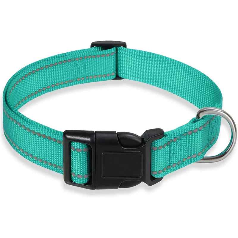Collier pour chien | Durable & Stylé - Chien Trotteur
