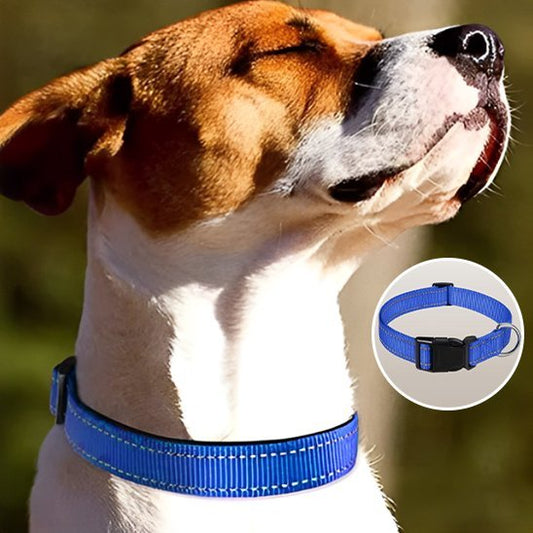 Collier pour chien | Durable & Stylé - Chien Trotteur