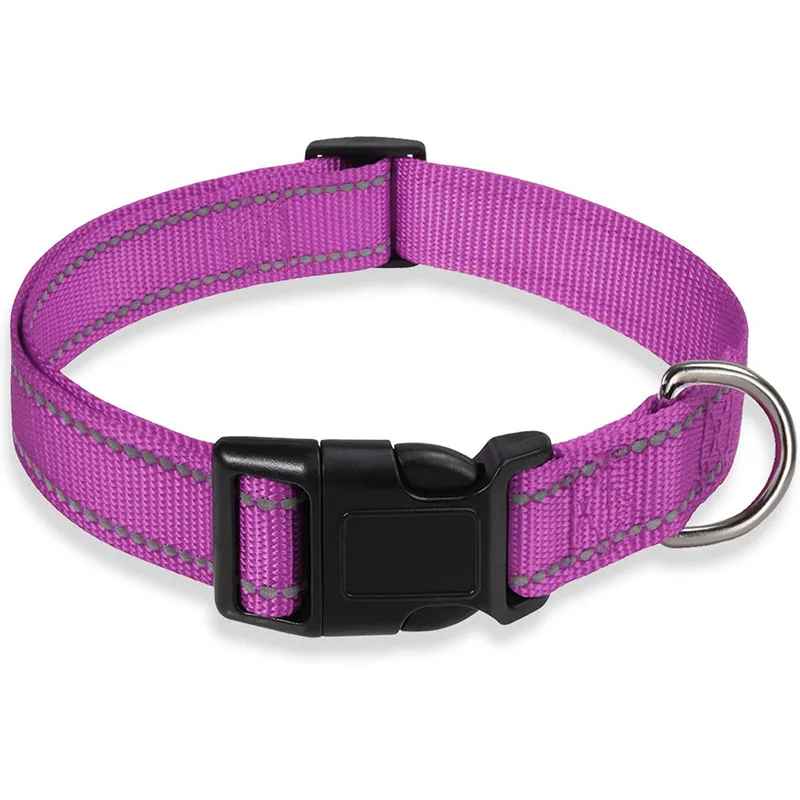 Collier pour chien | Durable & Stylé - Chien Trotteur