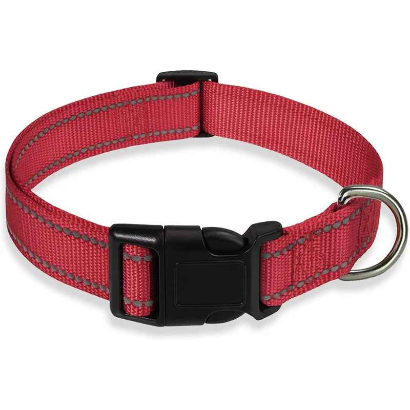Collier pour chien | Durable & Stylé - Chien Trotteur