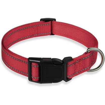 Collier pour chien | Durable & Stylé - Chien Trotteur