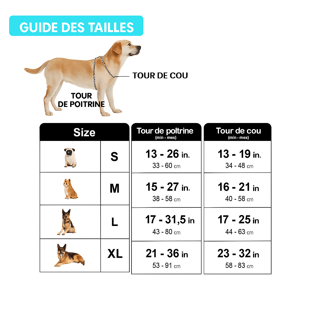 Harnais chien | Confort Sécurité - Chien Trotteur