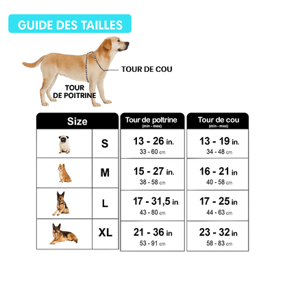 Harnais chien | Confort Sécurité - Chien Trotteur
