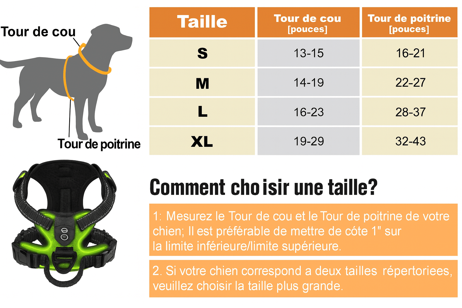 Harnais chien | LUMINEUX - LED - Chien Trotteur