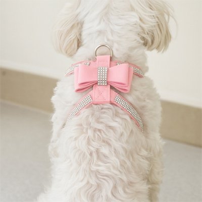 Harnais chiot | Glamour - Confort - Chien Trotteur