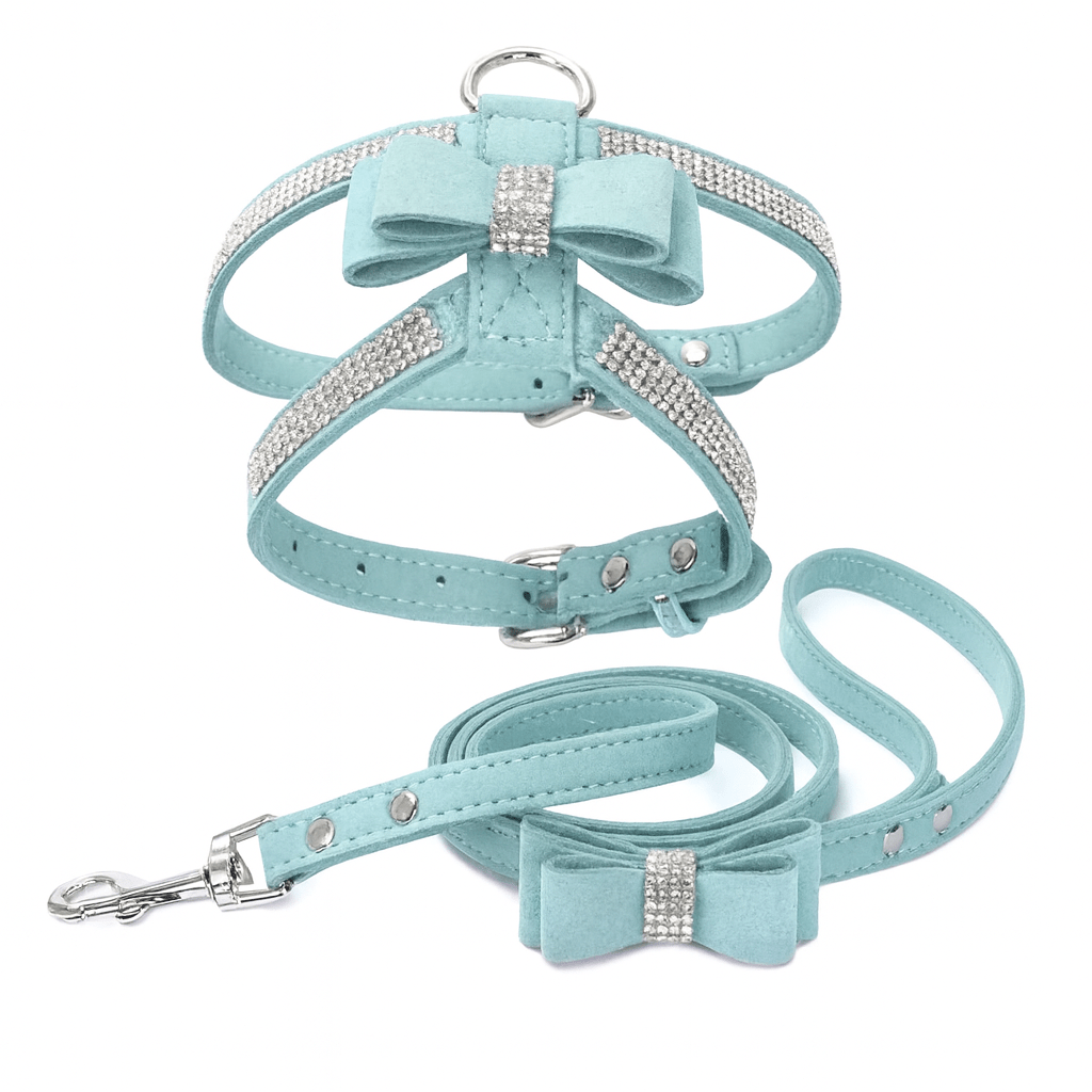 Harnais chiot | Glamour - Confort - Chien Trotteur