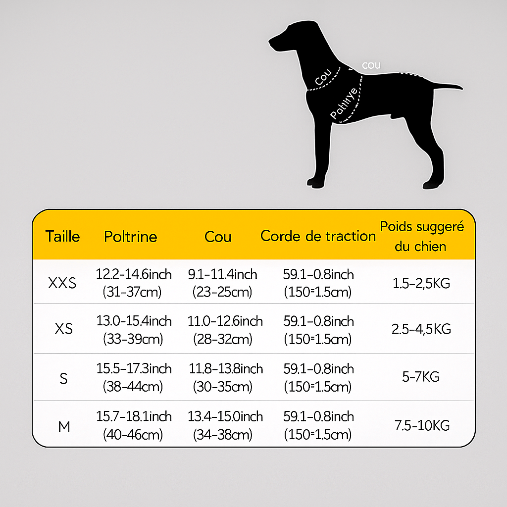 Harnais petit chien | ComfyPaws - Chien Trotteur