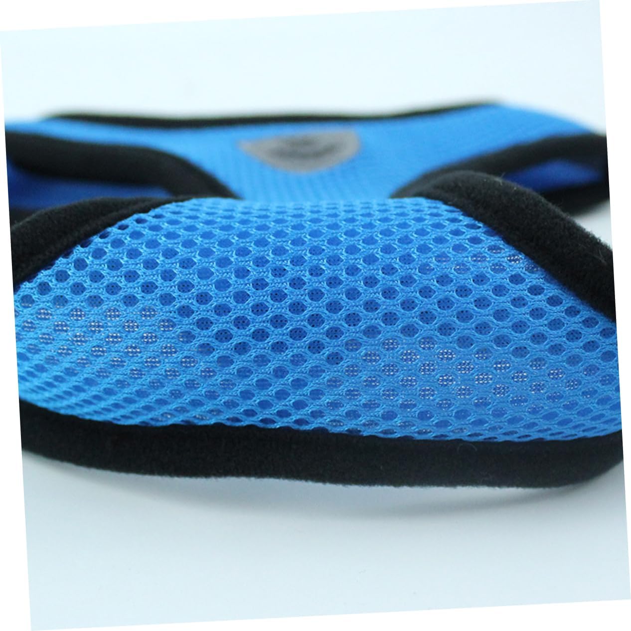 Harnais Petit Chien - DogHarnessLeadLeash™ - Bleu - Chien Trotteur
