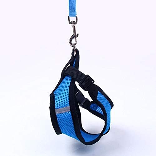 Harnais Petit Chien - DogHarnessLeadLeash™ - Bleu - Chien Trotteur