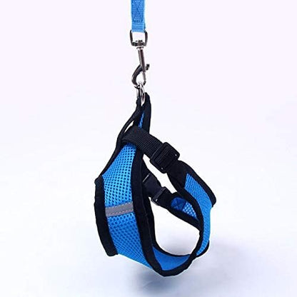 Harnais Petit Chien - DogHarnessLeadLeash™ - Bleu - Chien Trotteur