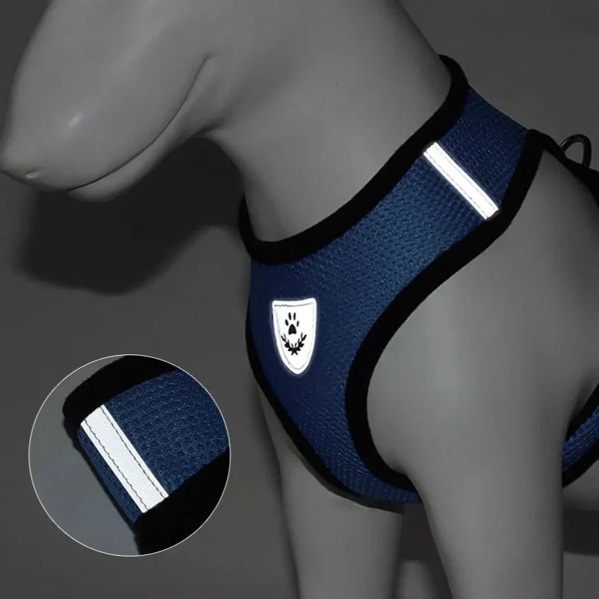 Harnais Petit Chien - DogHarnessLeadLeash™ - Bleu - Chien Trotteur