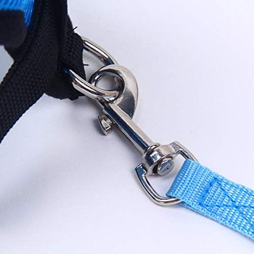 Harnais Petit Chien - DogHarnessLeadLeash™ - Bleu - Chien Trotteur