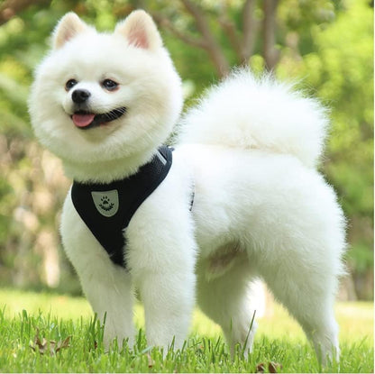 Harnais Petit Chien - DogHarnessLeadLeash™ - Noir - Chien Trotteur