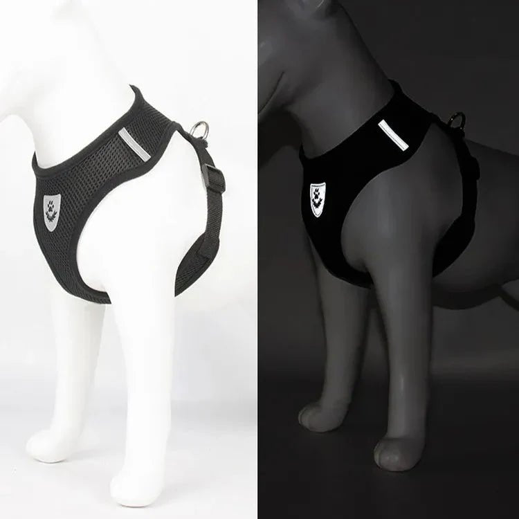 Harnais Petit Chien - DogHarnessLeadLeash™ - Noir - Chien Trotteur