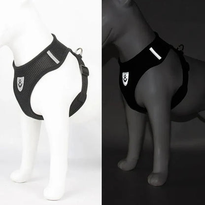 Harnais Petit Chien - DogHarnessLeadLeash™ - Noir - Chien Trotteur