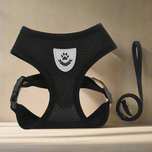Harnais Petit Chien - DogHarnessLeadLeash™ - Noir - Chien Trotteur