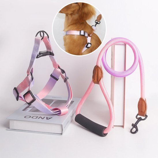 Harnais pour chien | design - bicolore - Chien Trotteur
