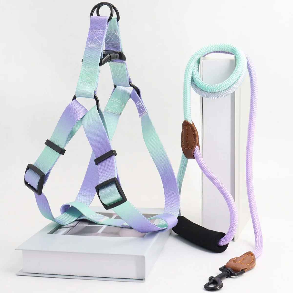 Harnais pour chien | design - bicolore - Chien Trotteur