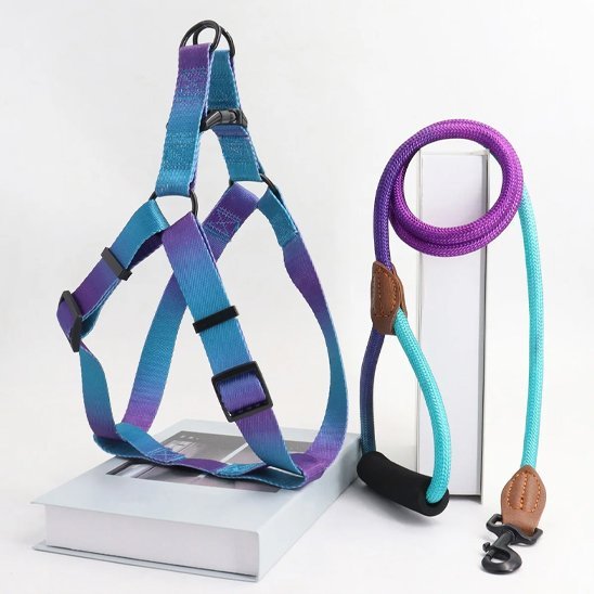 Harnais pour chien | design - bicolore - Chien Trotteur