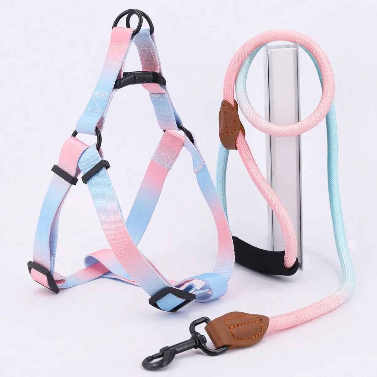 Harnais pour chien | design - bicolore - Chien Trotteur