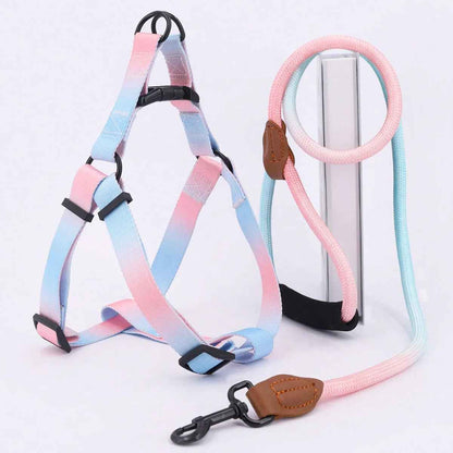 Harnais pour chien | design - bicolore - Chien Trotteur