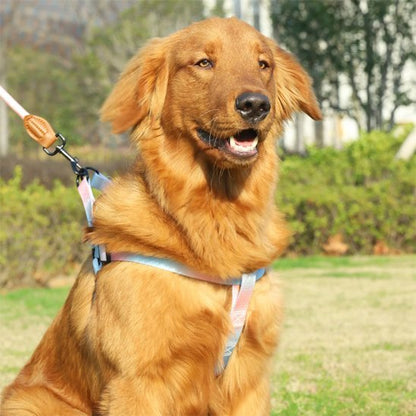 Harnais pour chien | design - bicolore - Chien Trotteur