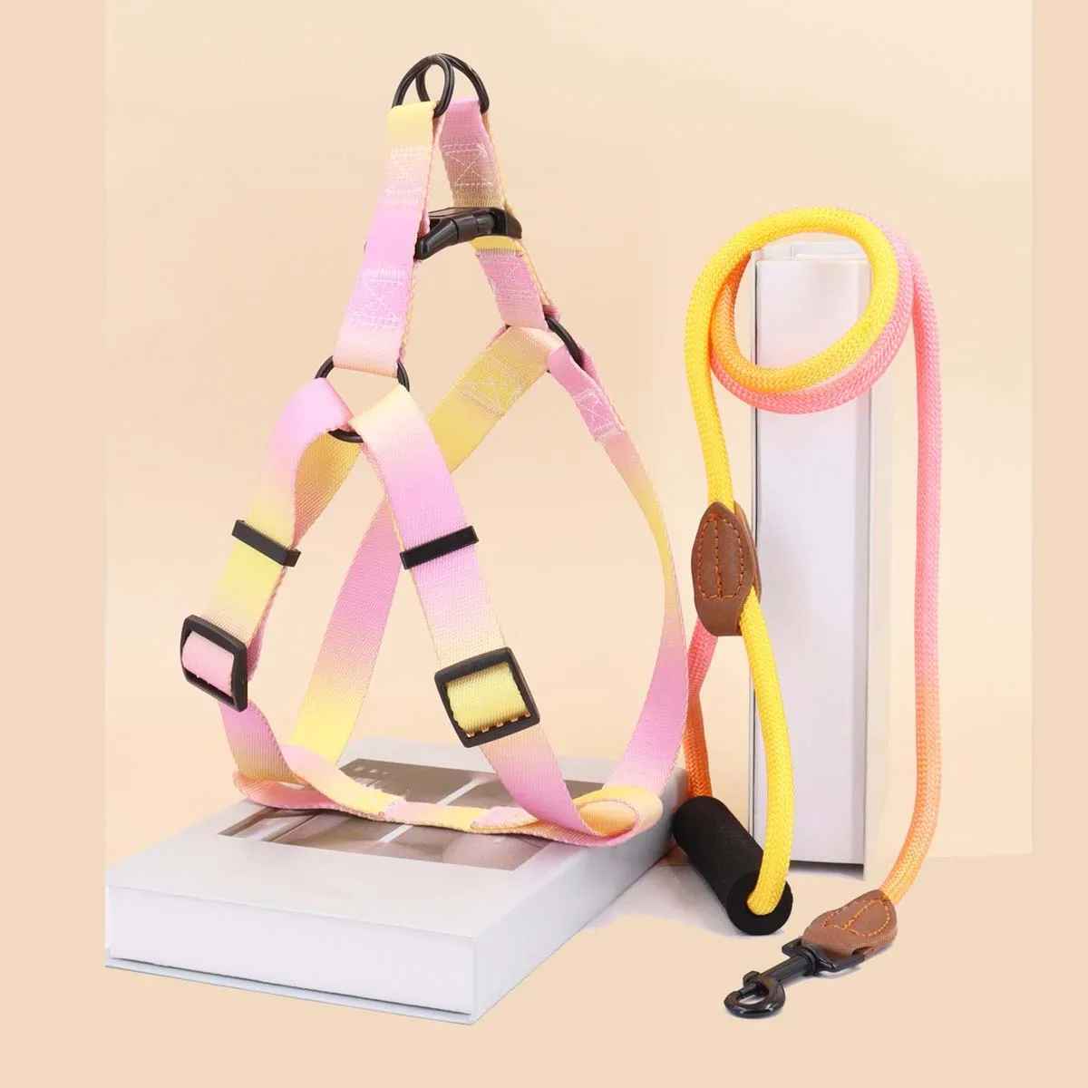 Harnais pour chien | design - bicolore - Chien Trotteur