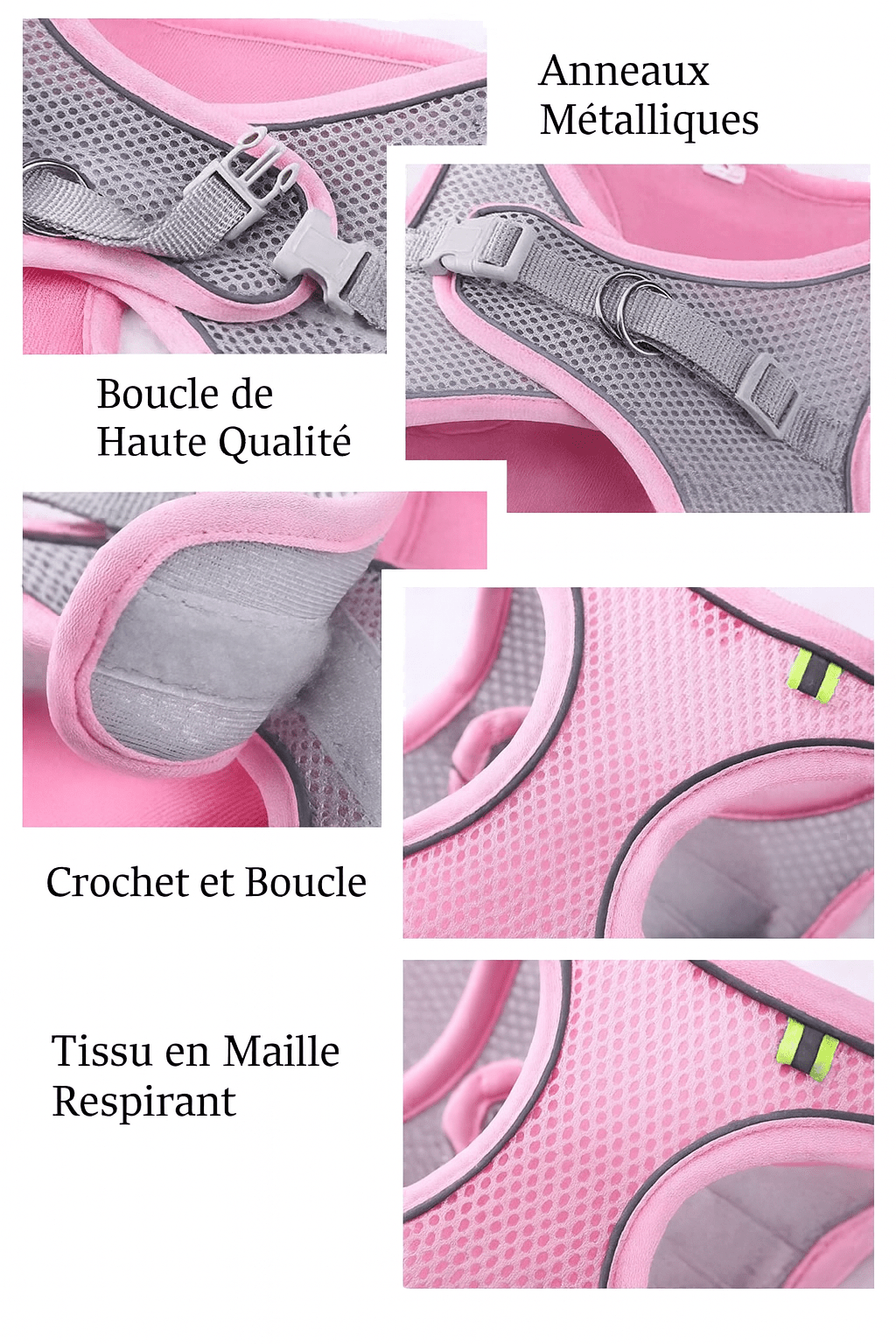 Harnais pour petit Chien | ComfortPlus - Chien Trotteur