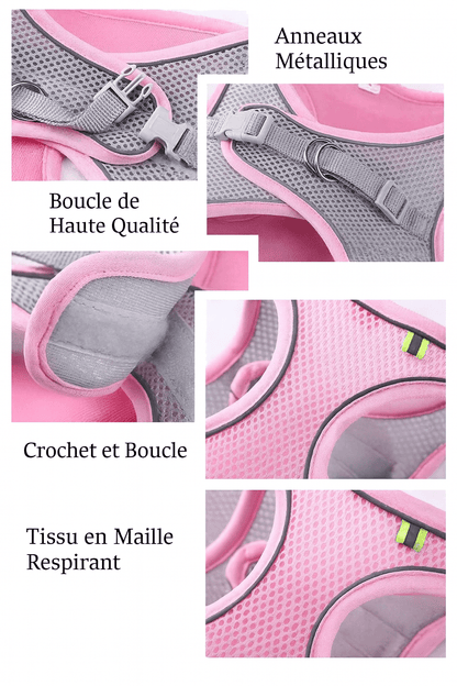 Harnais pour petit Chien | ComfortPlus - Chien Trotteur