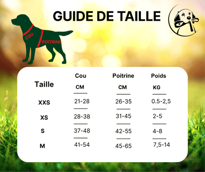 Harnais pour petit Chien | Confort Élégant - Chien Trotteur