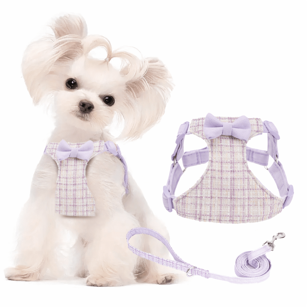Harnais pour petit Chien | Confort Élégant - Chien Trotteur