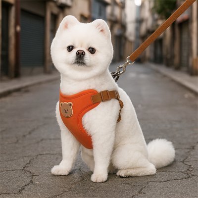 Harnais pour petit Chien | Ourson - Mignon - Chien Trotteur