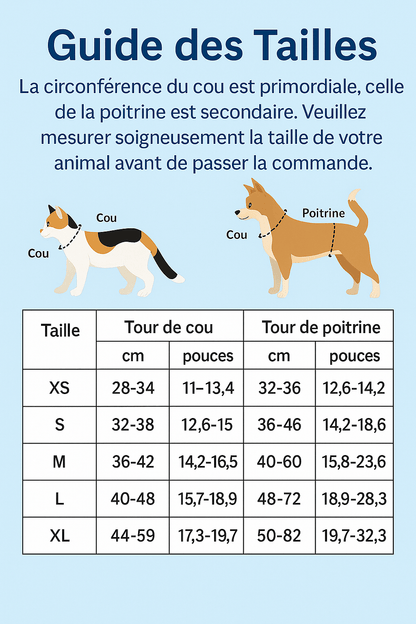 Harnais pour petit Chien | Ourson - Mignon - Chien Trotteur